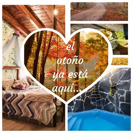 Robledillo El Eden De Javier旅馆 外观 照片