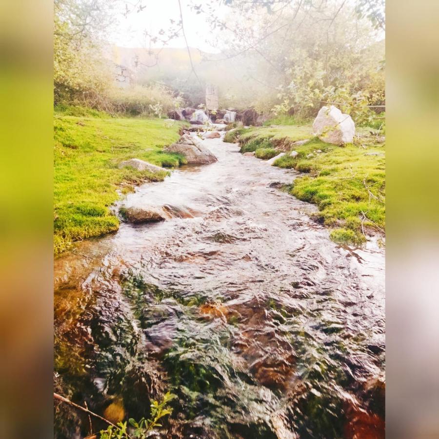 Robledillo El Eden De Javier旅馆 外观 照片